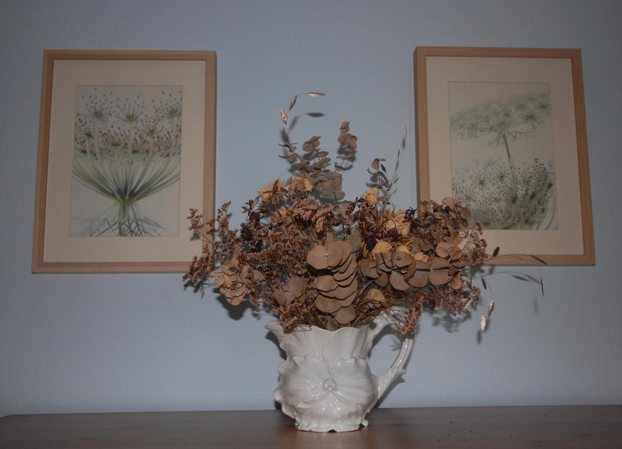 Le Buisson B&B Gouvy 외부 사진